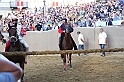 Palio2016_166