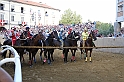 Palio2016_173