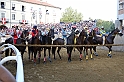 Palio2016_174