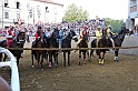 Palio2016_175