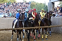Palio2016_178