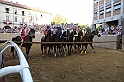 Palio2016_190