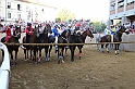 Palio2016_193
