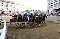 Palio2016_194