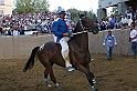 Palio2016_201