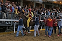 Palio2016_202