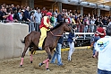 Palio2016_203