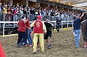 Palio2016_204