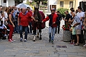 S.Damiano_198