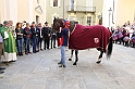 S.Damiano_211