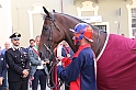 S.Damiano_212