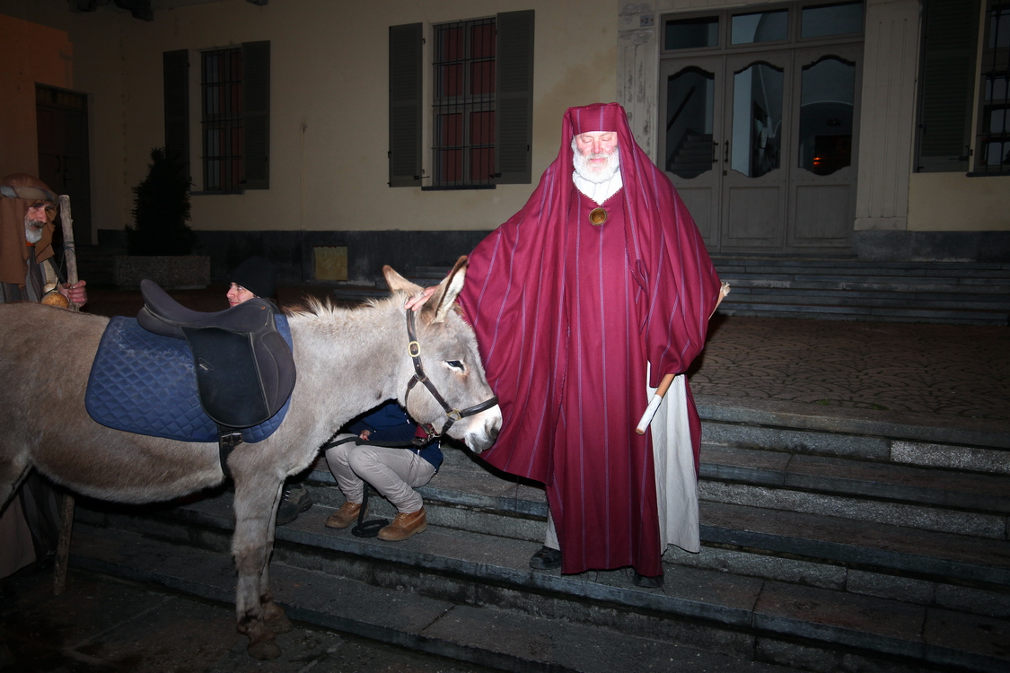 Presepe2015_006.JPG