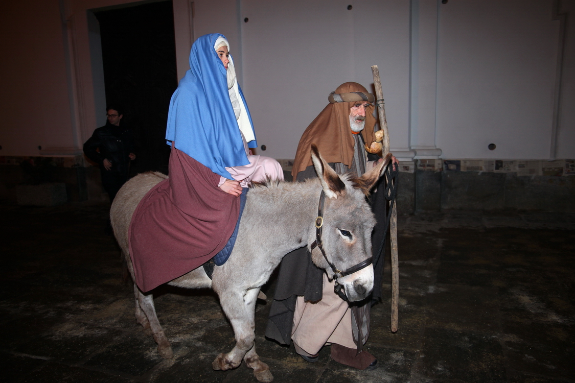 Presepe2015_020.JPG
