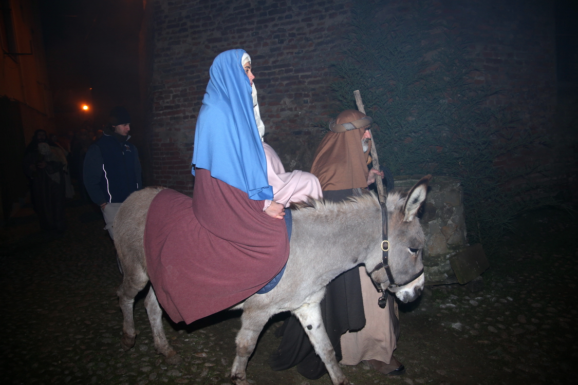 Presepe2015_041.JPG