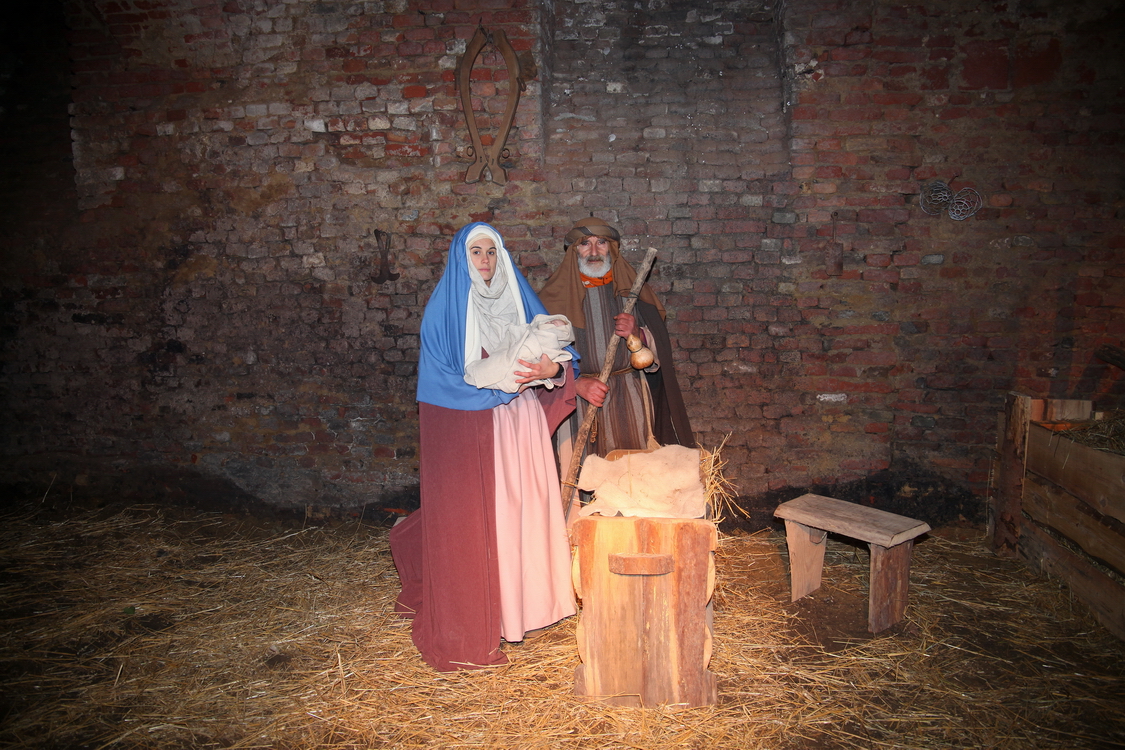 Presepe2015_050.JPG