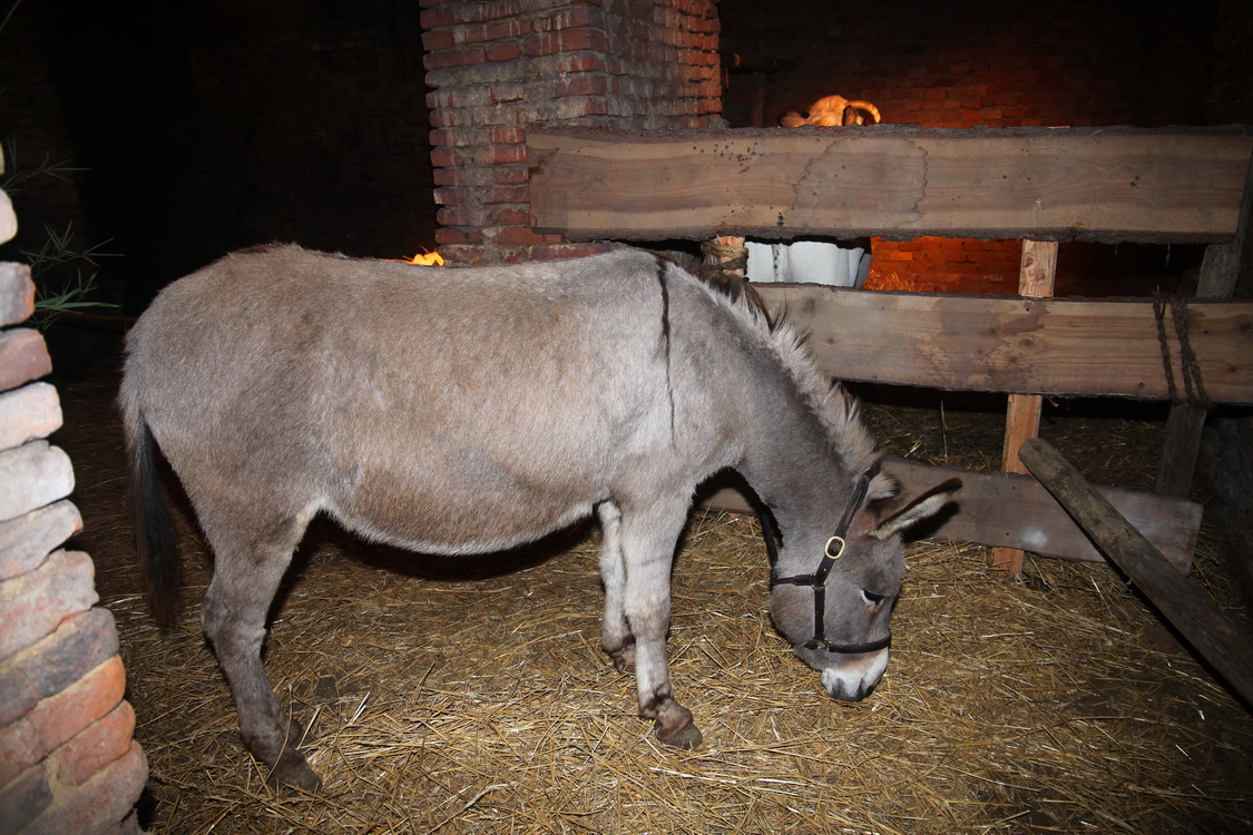 Presepe2015_054.JPG