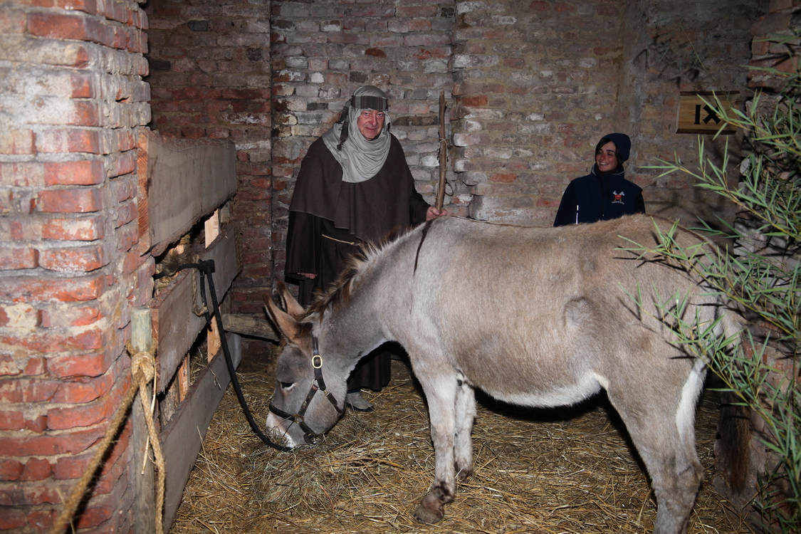 Presepe2015_060.JPG