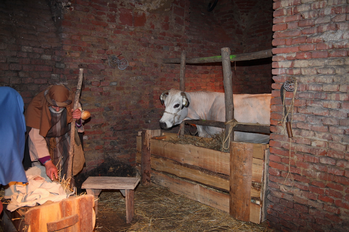 Presepe2015_065.JPG