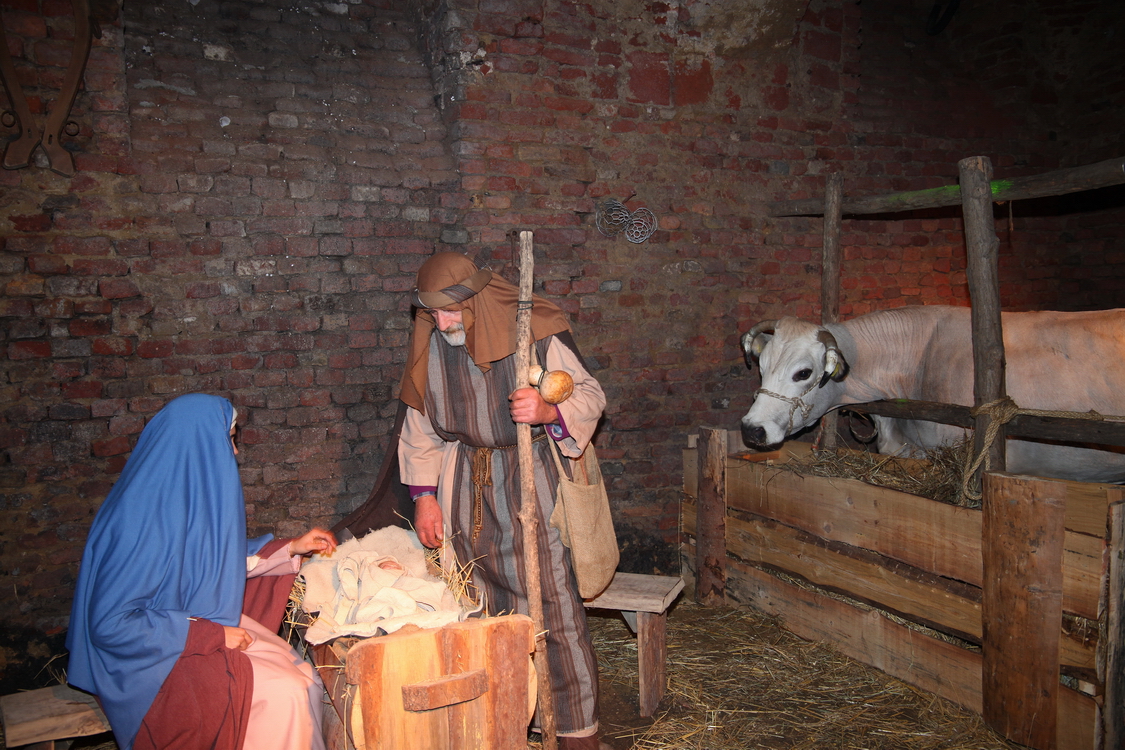 Presepe2015_067.JPG