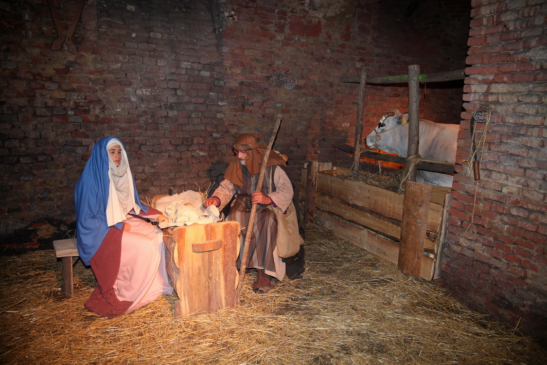 Presepe2015_070.JPG