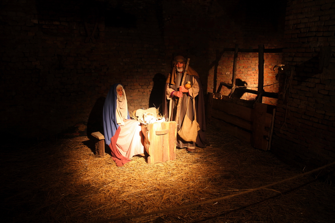 Presepe2015_073.JPG