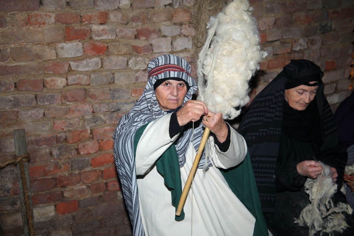 Presepe2015_076.JPG