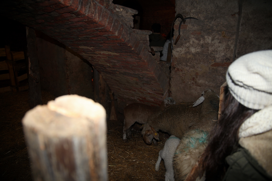 Presepe2015_083.JPG