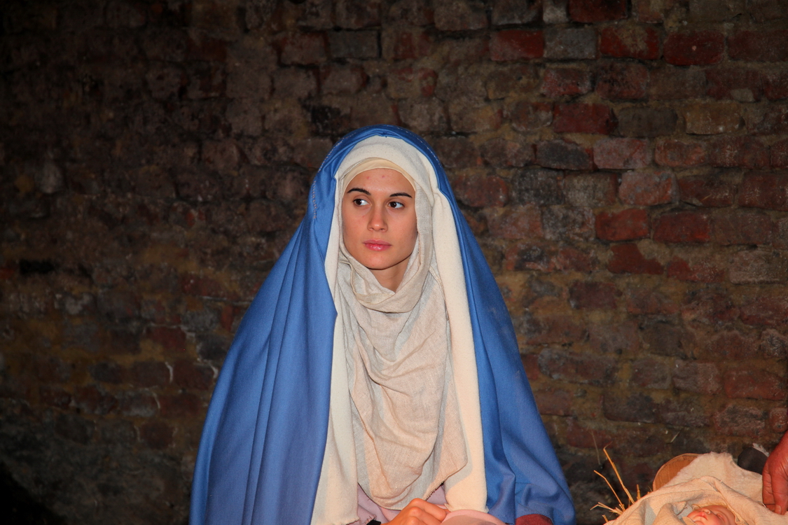 Presepe2015_099.JPG
