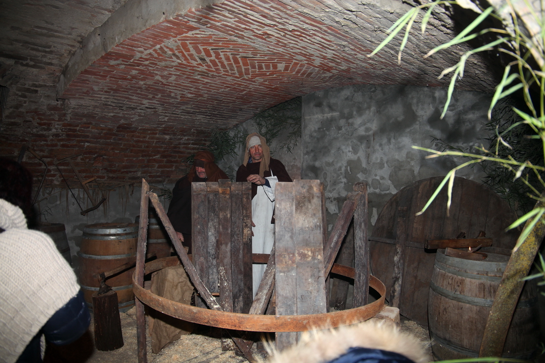 Presepe2015_123.JPG