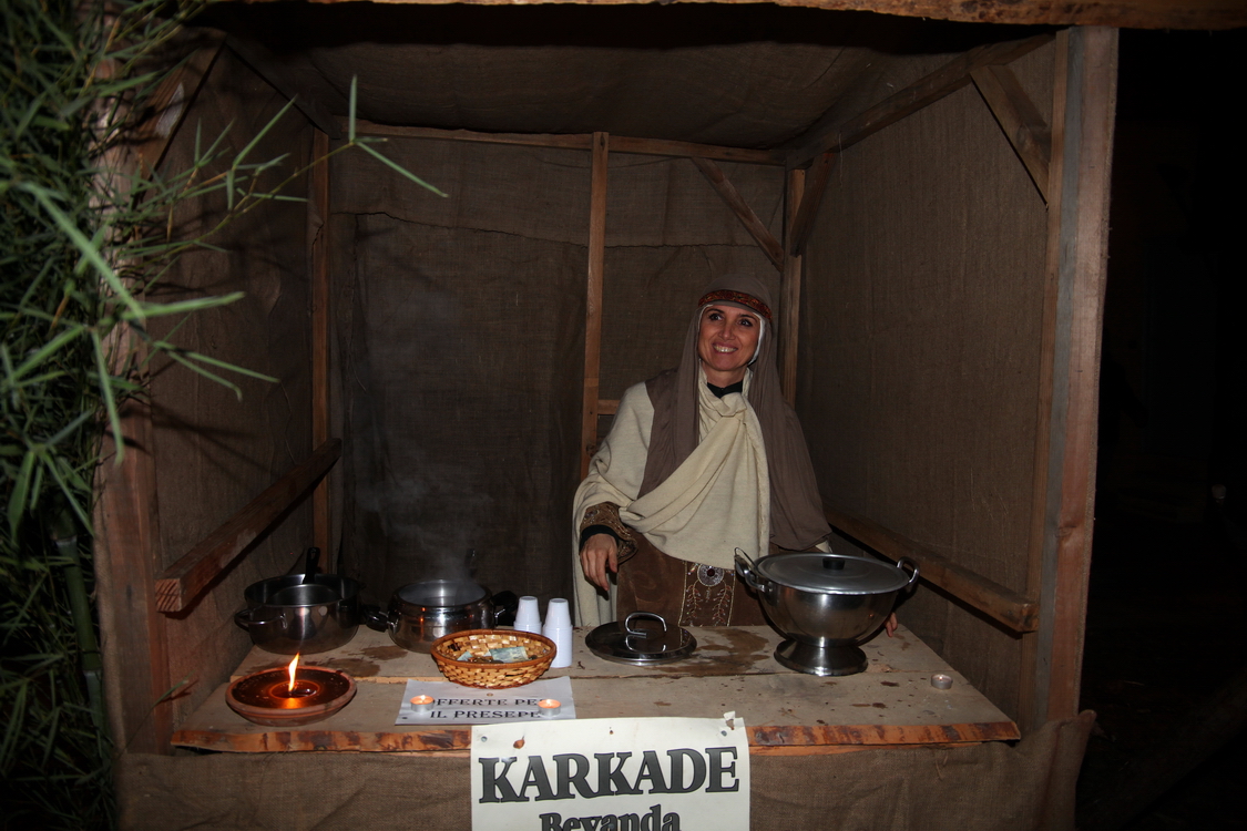 Presepe2015_136.JPG