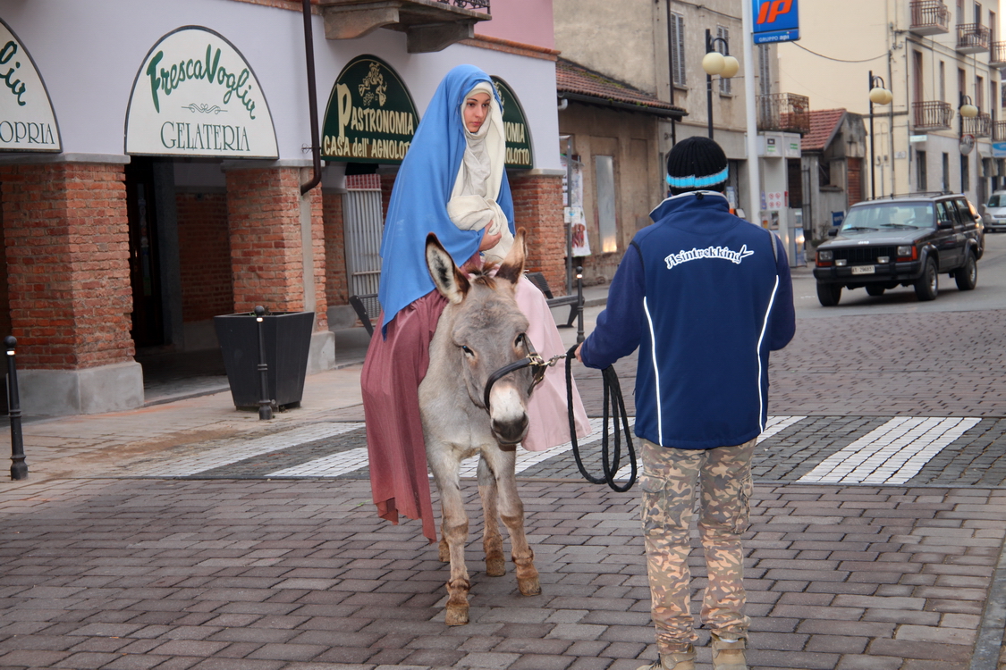 Presepe2015_159.JPG