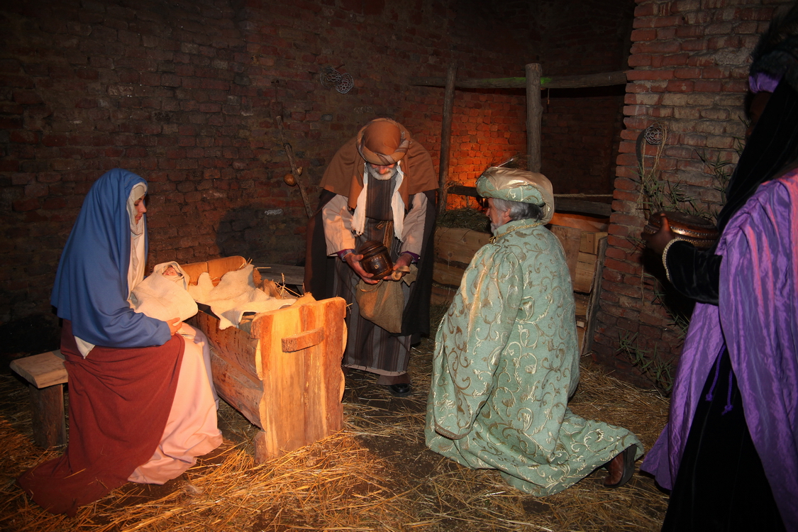 Presepe2015_207.JPG