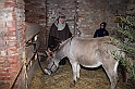 Presepe2015_060