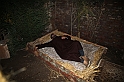 Presepe2015_085