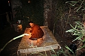 Presepe2015_093