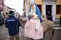 Presepe2015_158