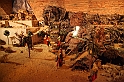Presepe2015_183