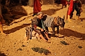 Presepe2015_188