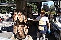 ProLoco_004