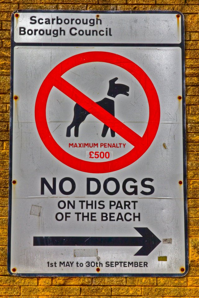 Scarborough_04.jpg - Ma mi raccomando fuori alle scatole i cani eh!