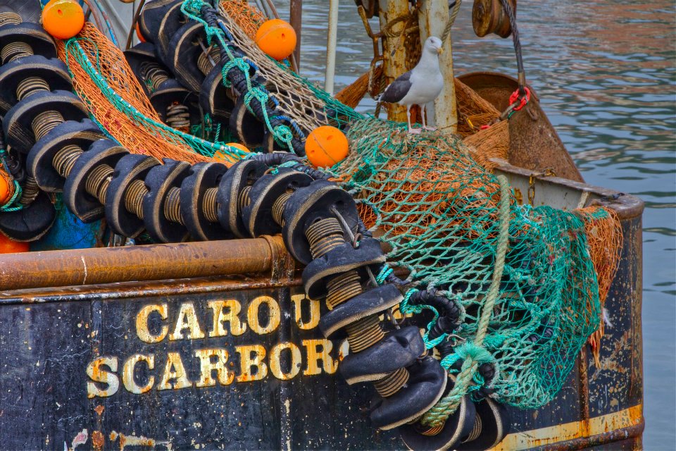 Scarborough_07.jpg - ...pesca...