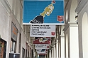 TorinoJazzFestival_3