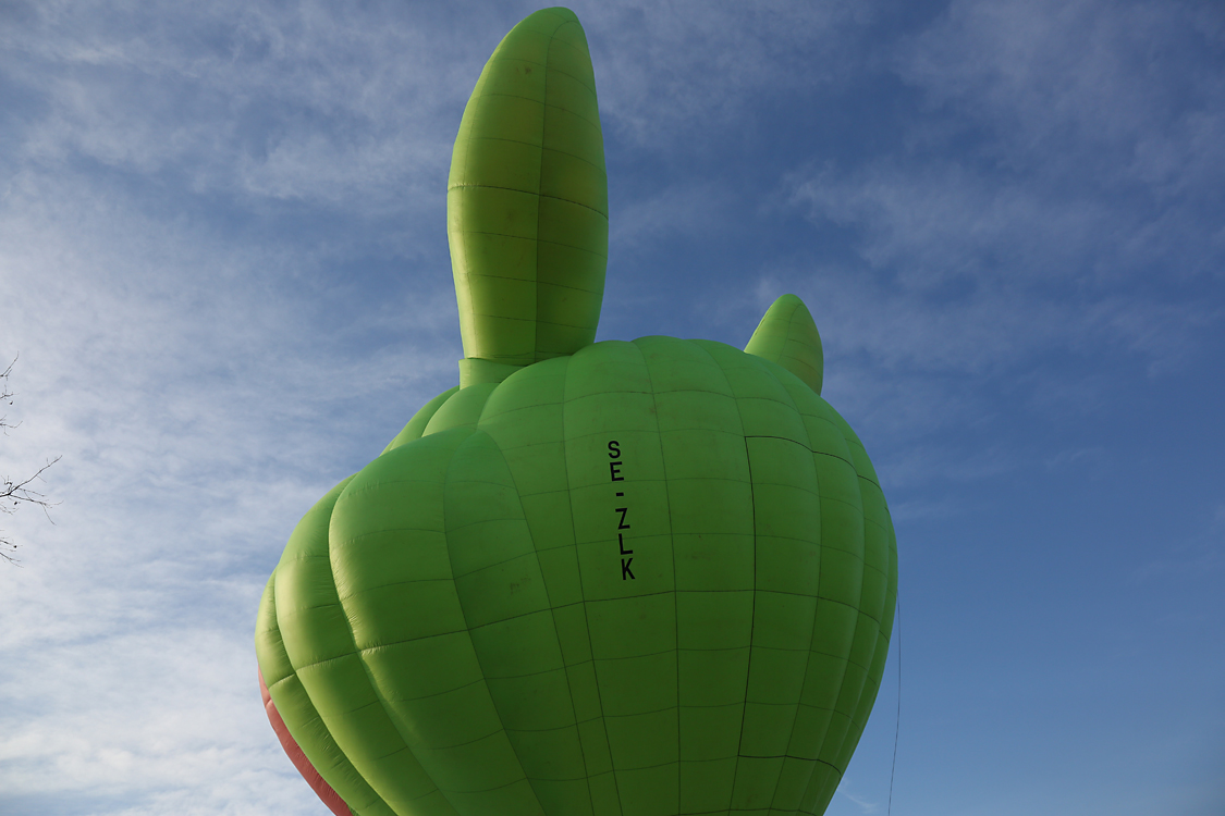 XXXIXRadunoMongolfiere_139.jpg