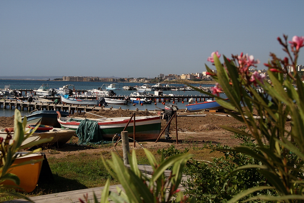 Sicilia_267.JPG - quelle a riva sono gelose di quelle che vedono dondolarsi nelle onde...