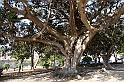 Sicilia_245