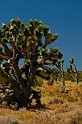 America_090