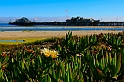 America_103