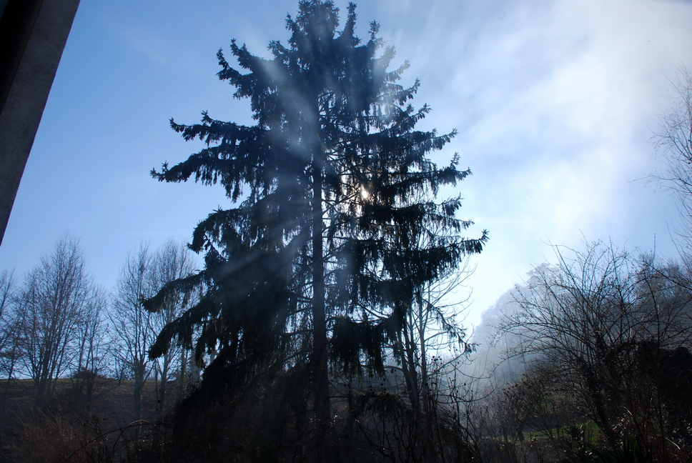 vita_54.JPG - colora il cielo di fumo per farci vedere meglio i suoi raggi