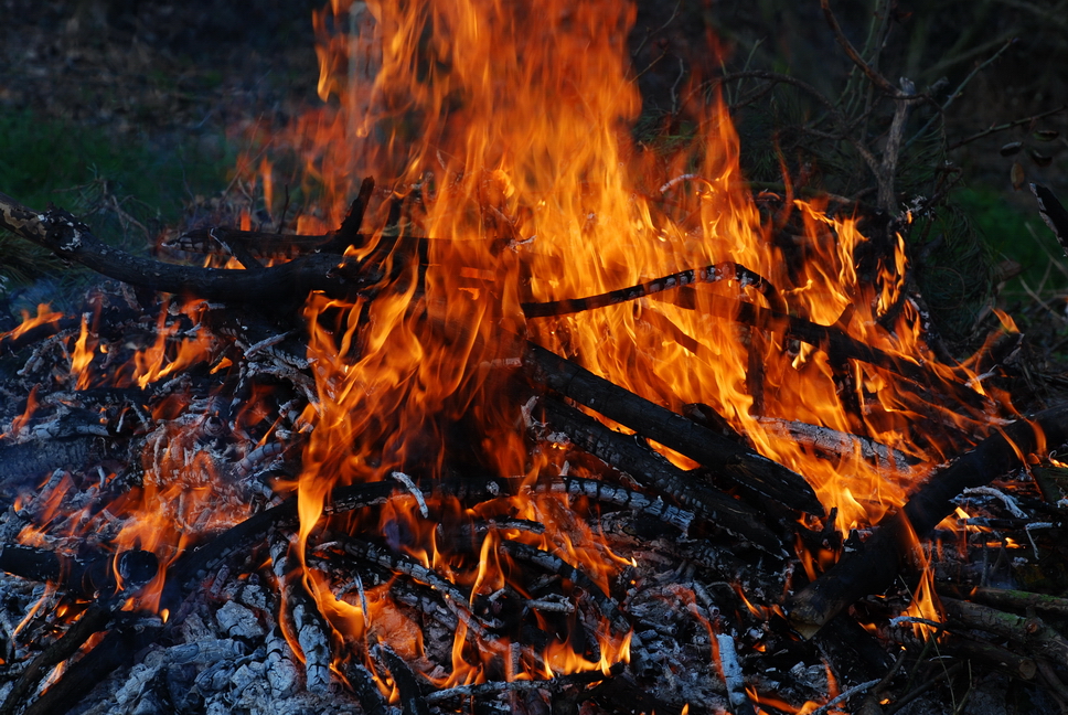 vita_55.JPG - è come il fuoco che arde e...